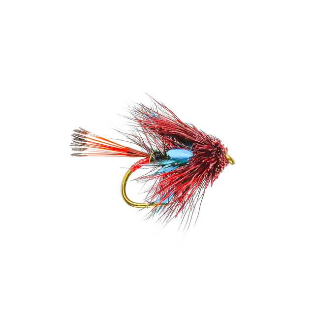 HEBRIDEAN MUDDLERS